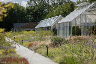 Top Benefits of Using a Greenhouse for Year-Round Gardening